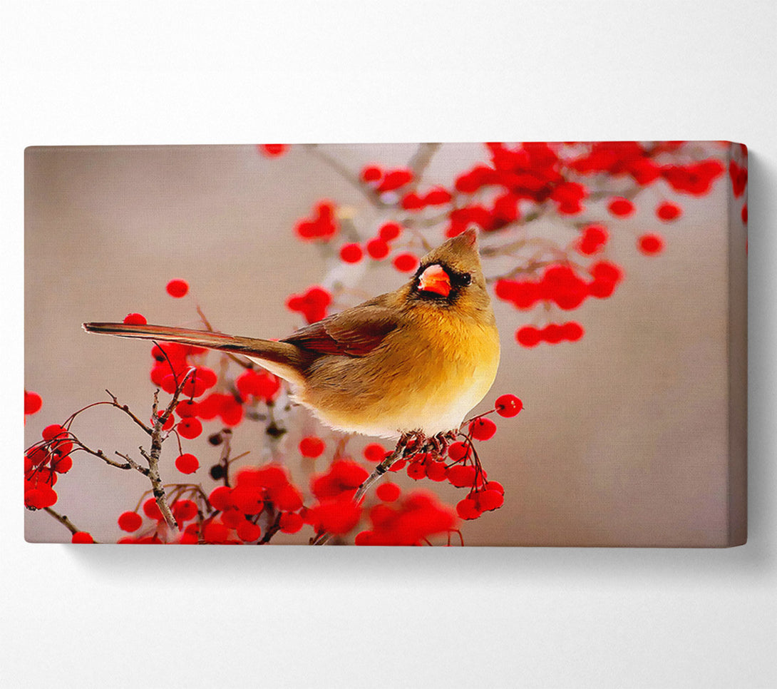  A Canvas Print of Garden Bird Canvas Print