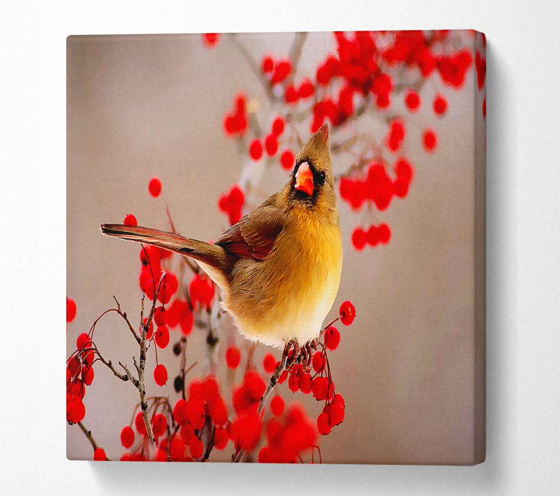  A Canvas Print of Garden Bird Canvas Print