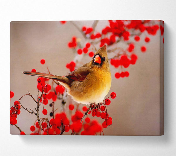  A Canvas Print of Garden Bird Canvas Print