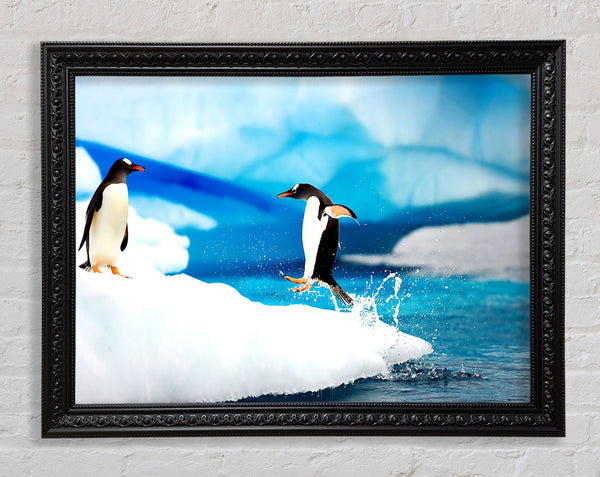 Eselspinguine Antarktis