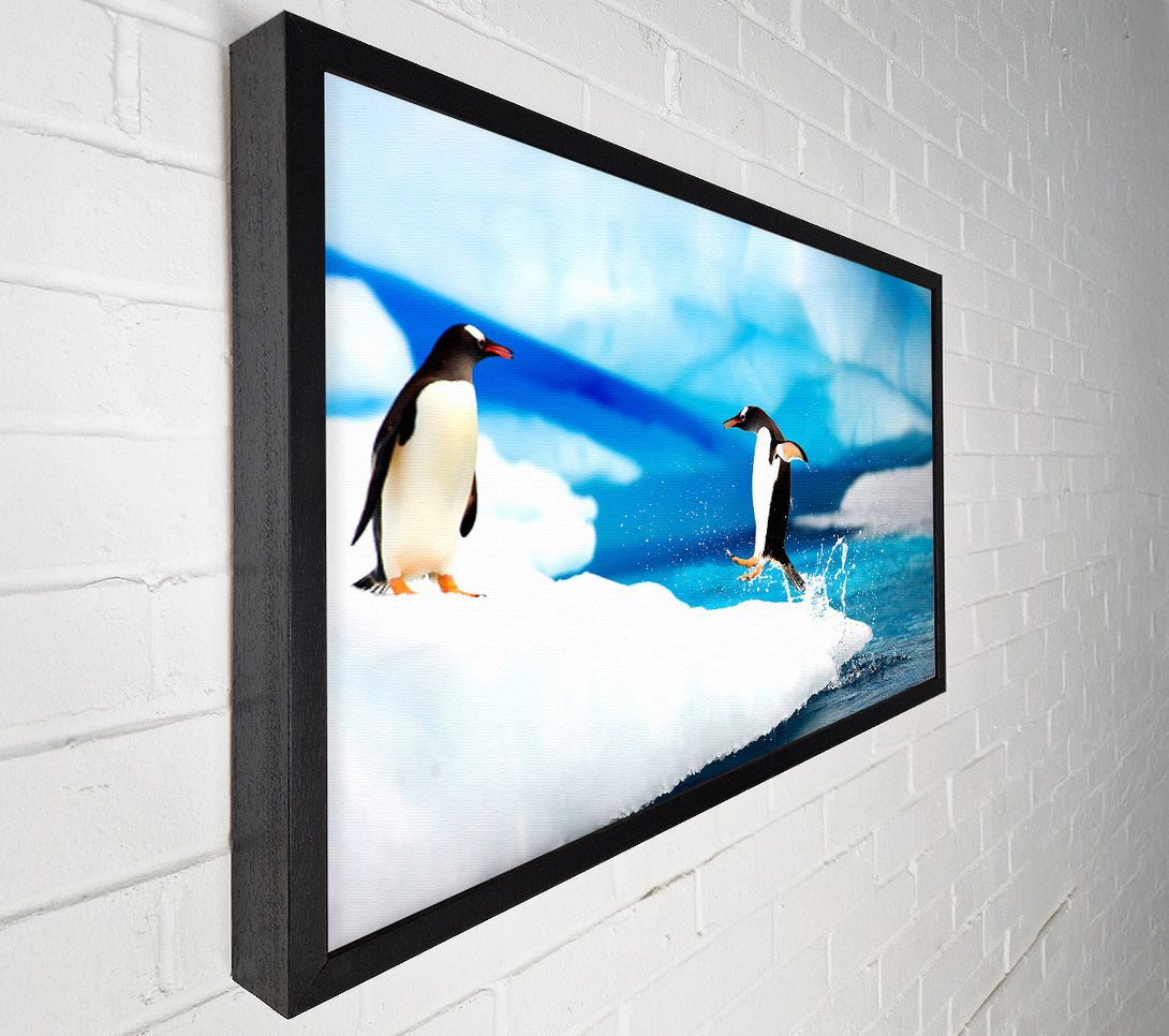  A Canvas Print of Gentoo Penguins Antarctica Canvas Print