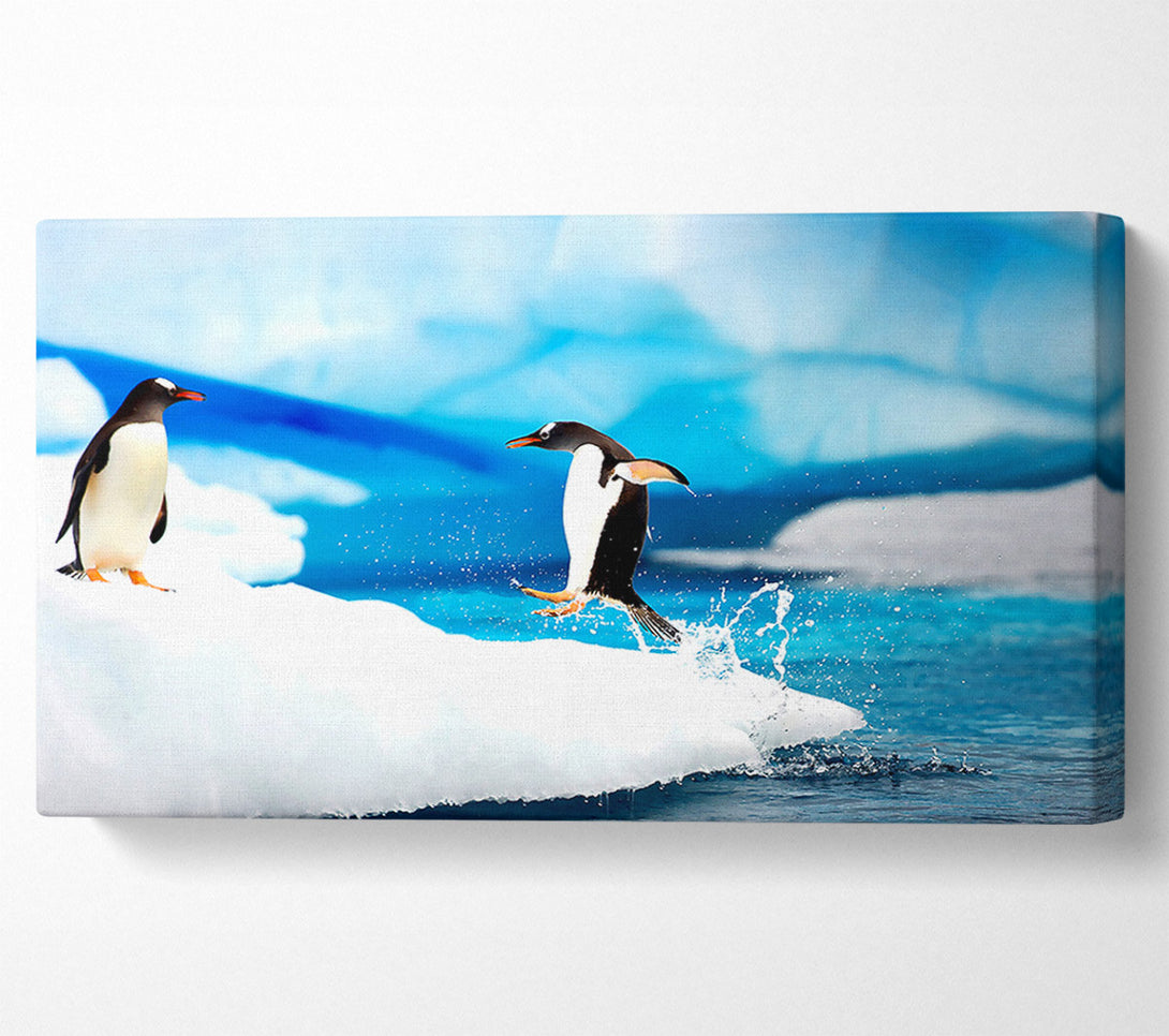  A Canvas Print of Gentoo Penguins Antarctica Canvas Print