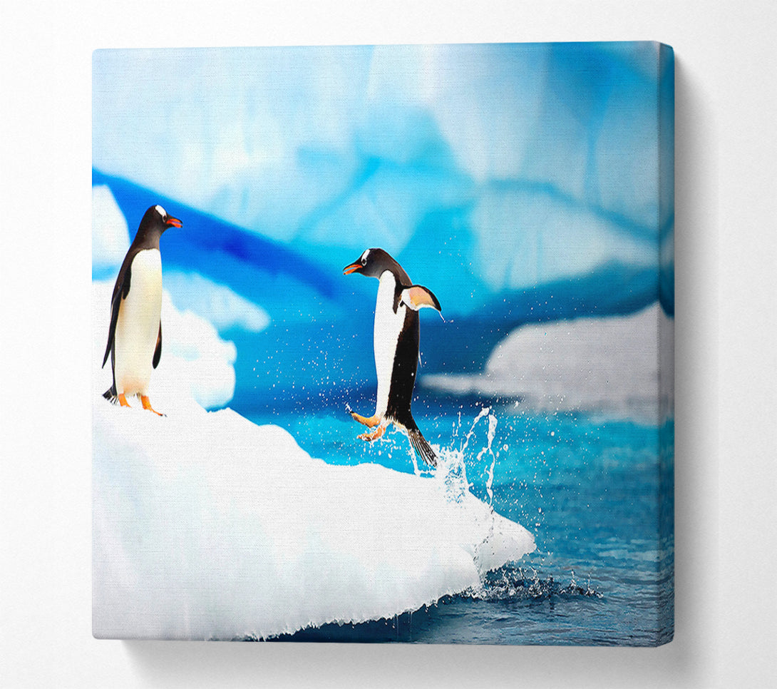  A Canvas Print of Gentoo Penguins Antarctica Canvas Print