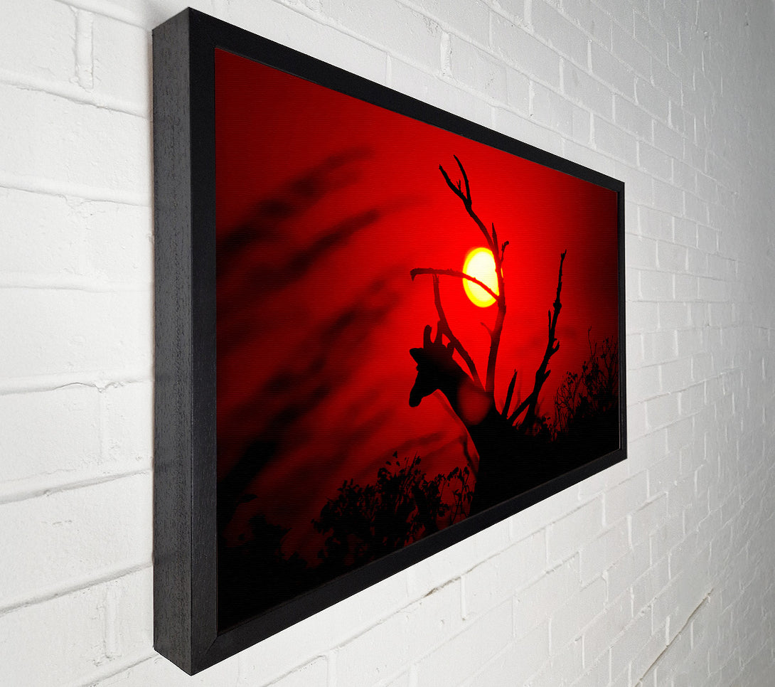  A Canvas Print of Giraffe At Sunset Canvas Art