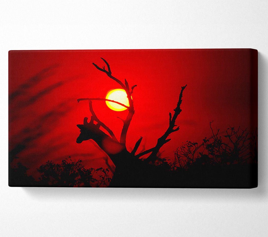  A Canvas Print of Giraffe At Sunset Canvas Art