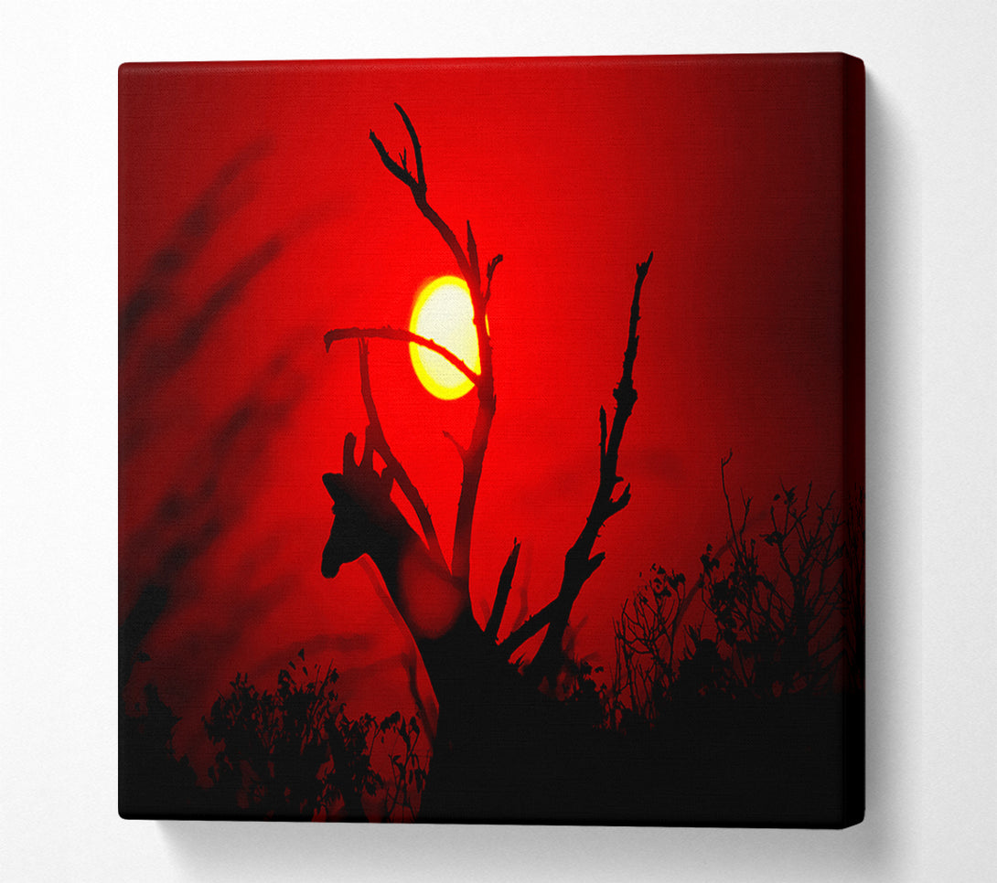  A Canvas Print of Giraffe At Sunset Canvas Art