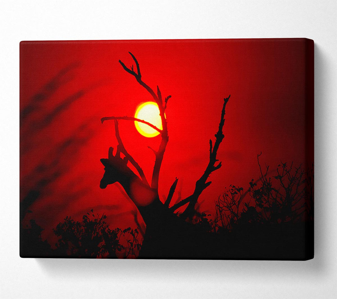  A Canvas Print of Giraffe At Sunset Canvas Art