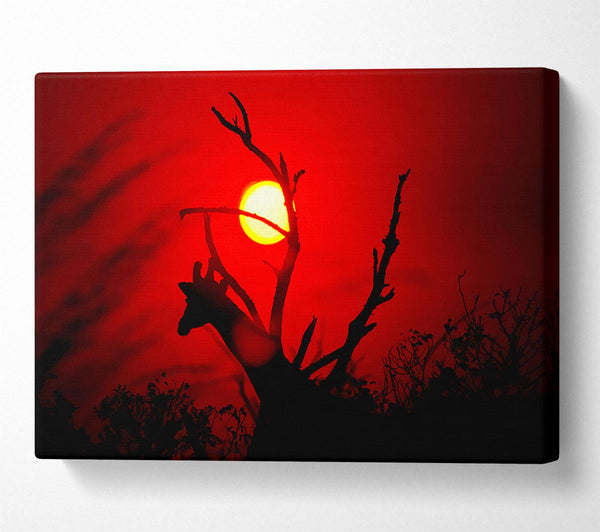  A Canvas Print of Giraffe At Sunset Canvas Art