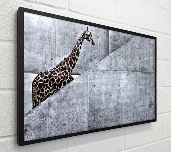 Giraffe Climbing Stairs