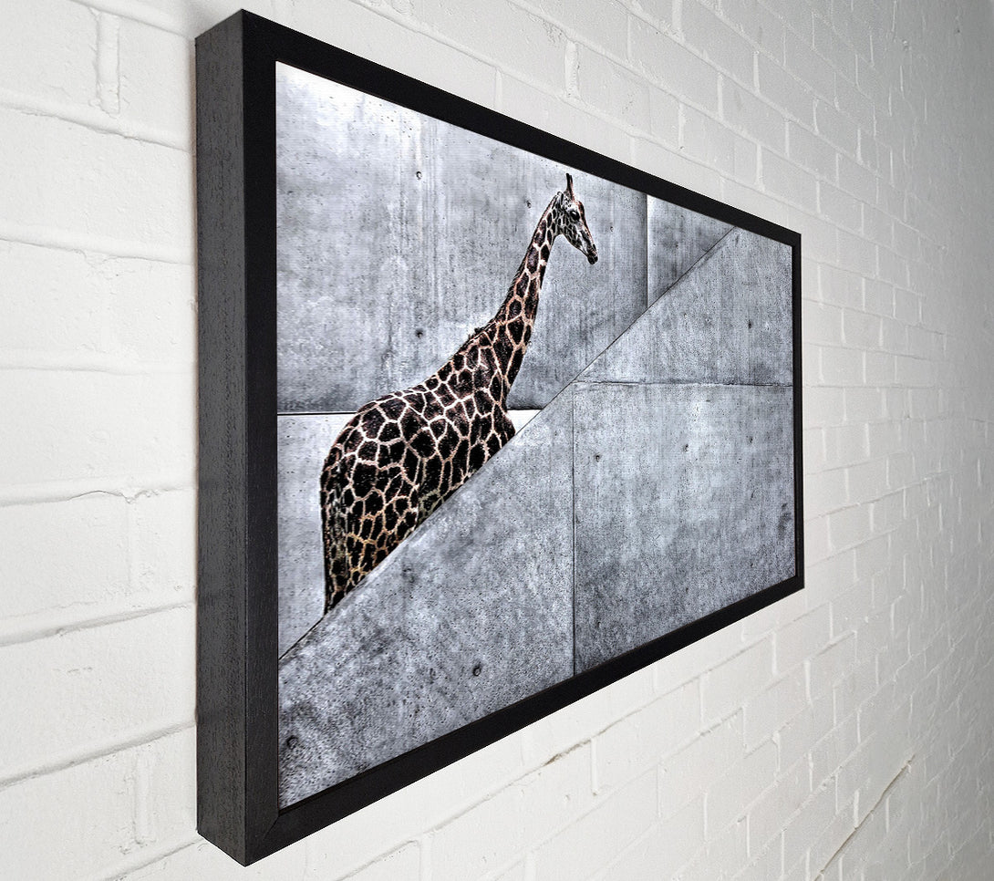  A Canvas Print of Giraffe Climbing Stairs Canvas Print