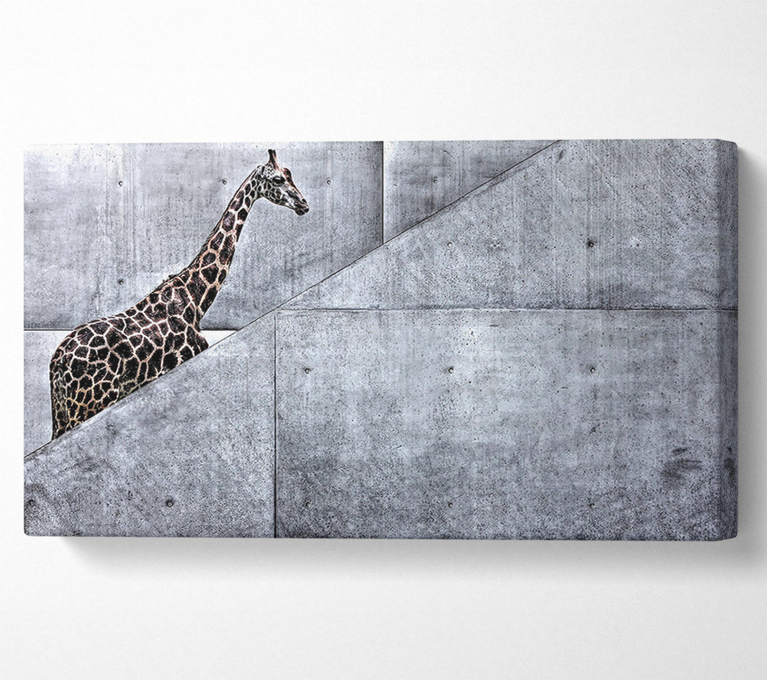  A Canvas Print of Giraffe Climbing Stairs Canvas Print