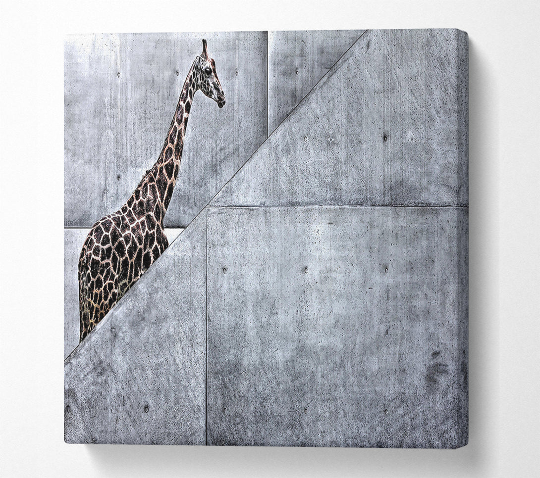  A Canvas Print of Giraffe Climbing Stairs Canvas Print