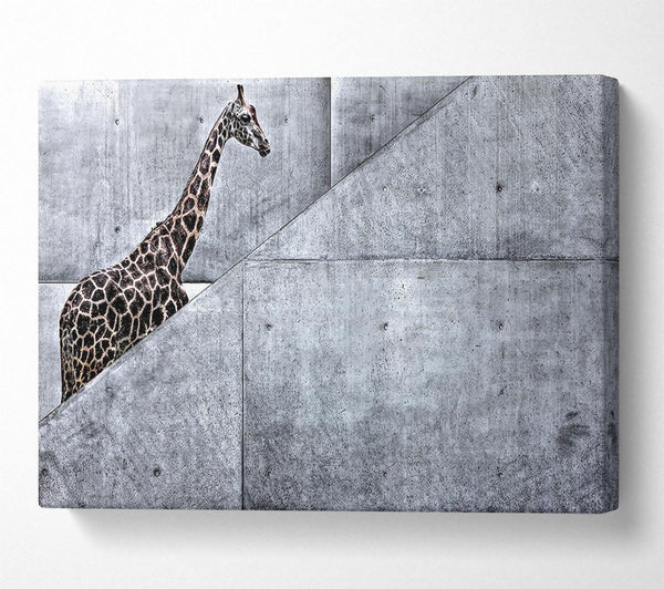  A Canvas Print of Giraffe Climbing Stairs Canvas Print