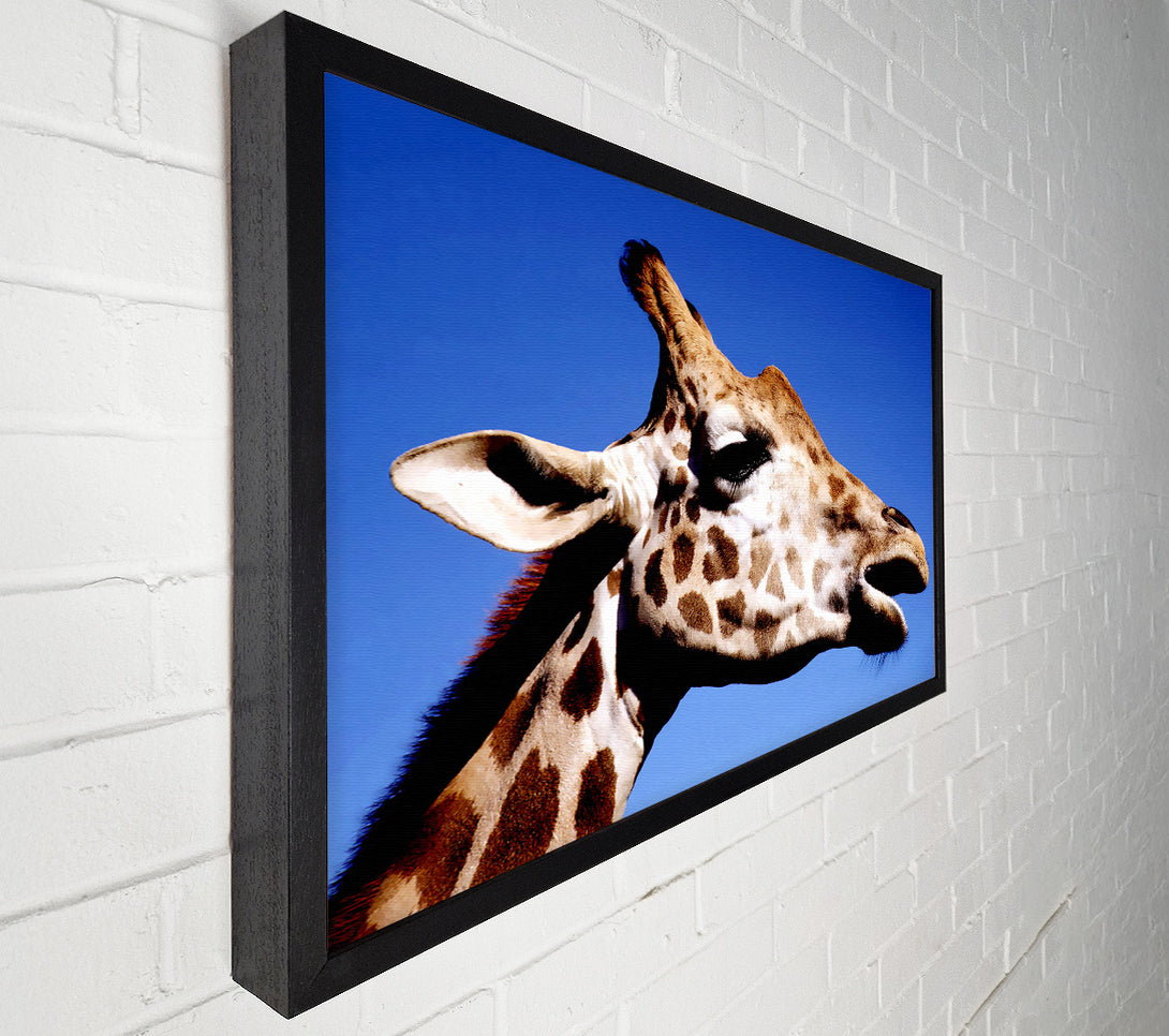  A Canvas Print of Giraffe Head Canvas Wall Art
