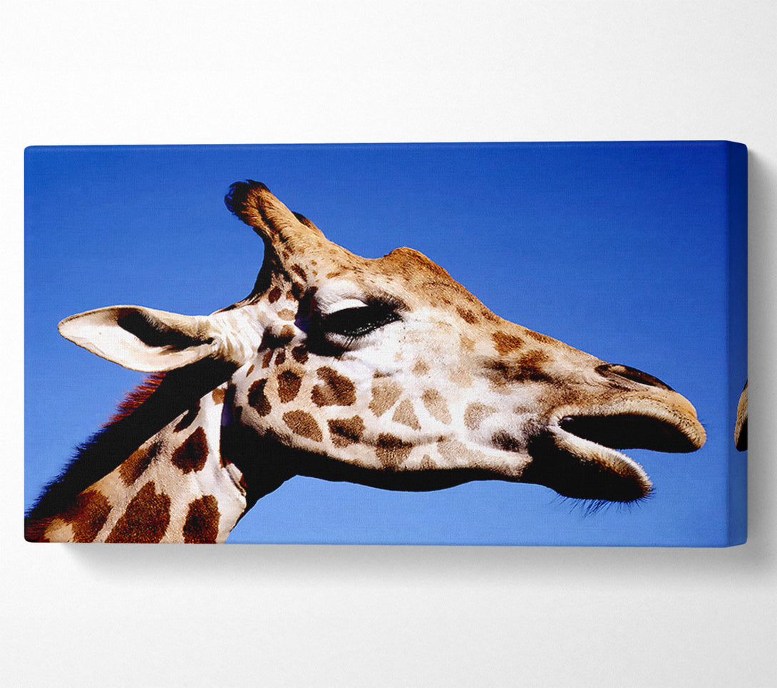  A Canvas Print of Giraffe Head Canvas Wall Art