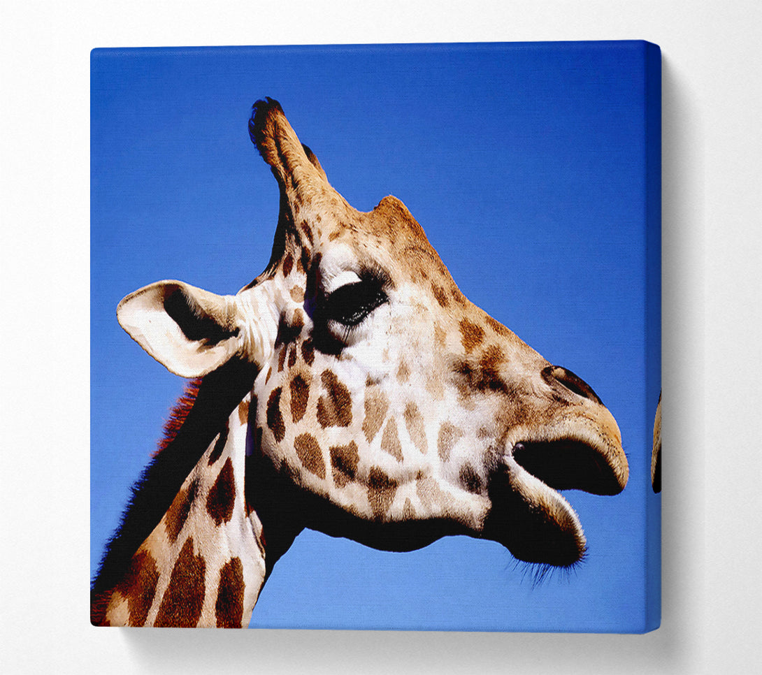  A Canvas Print of Giraffe Head Canvas Wall Art