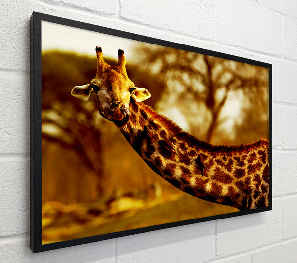 Giraffe Neck For Birds