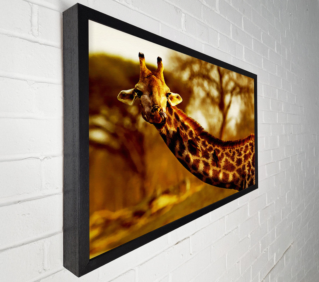  A Canvas Print of Giraffe Neck For Birds Canvas Art