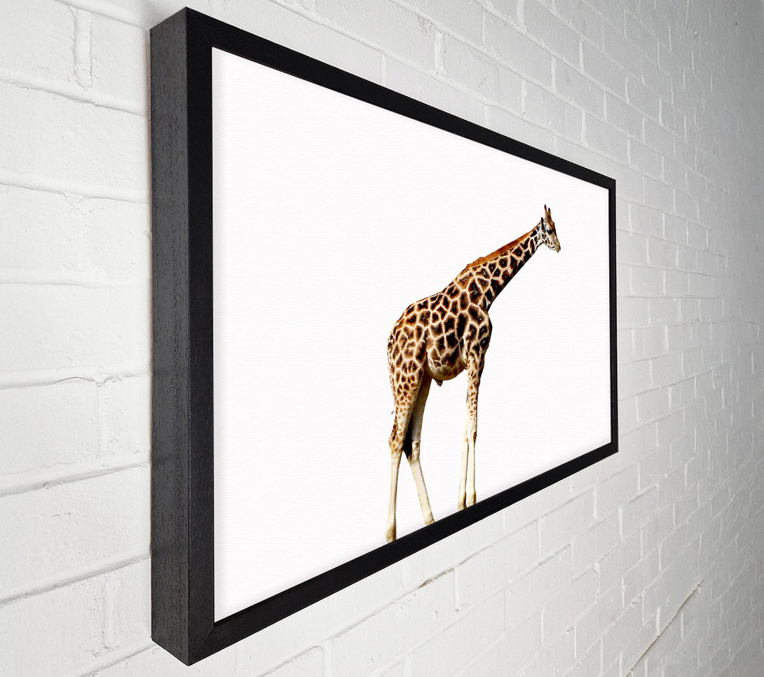  A Canvas Print of Giraffe Neck Canvas Wall Art