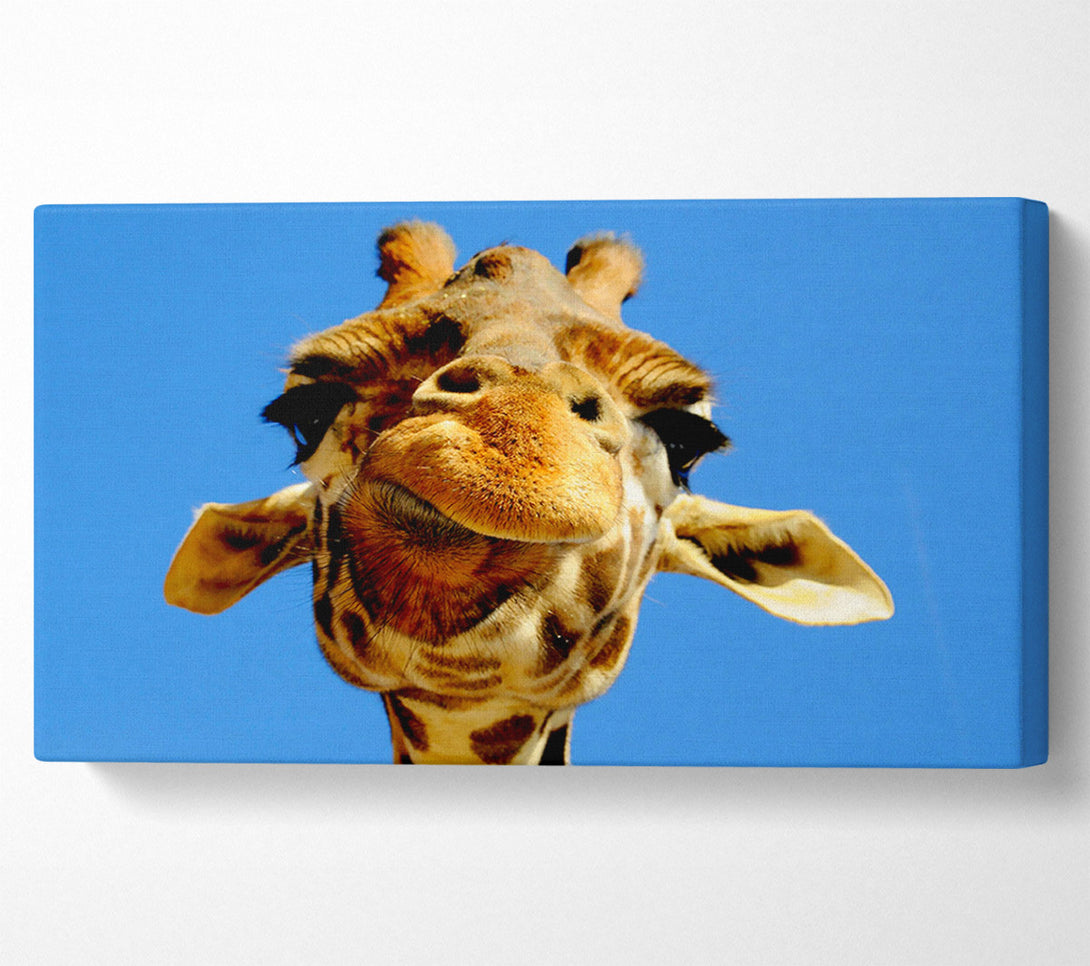  A Canvas Print of Giraffe Smile Canvas Print