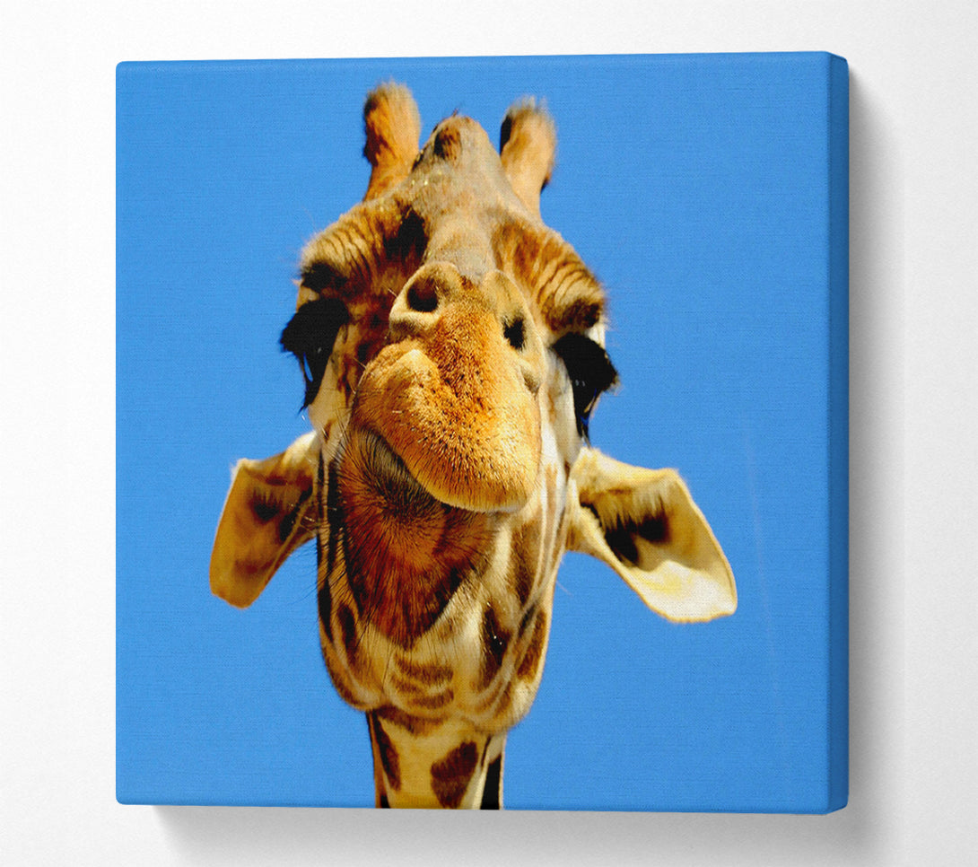  A Canvas Print of Giraffe Smile Canvas Print
