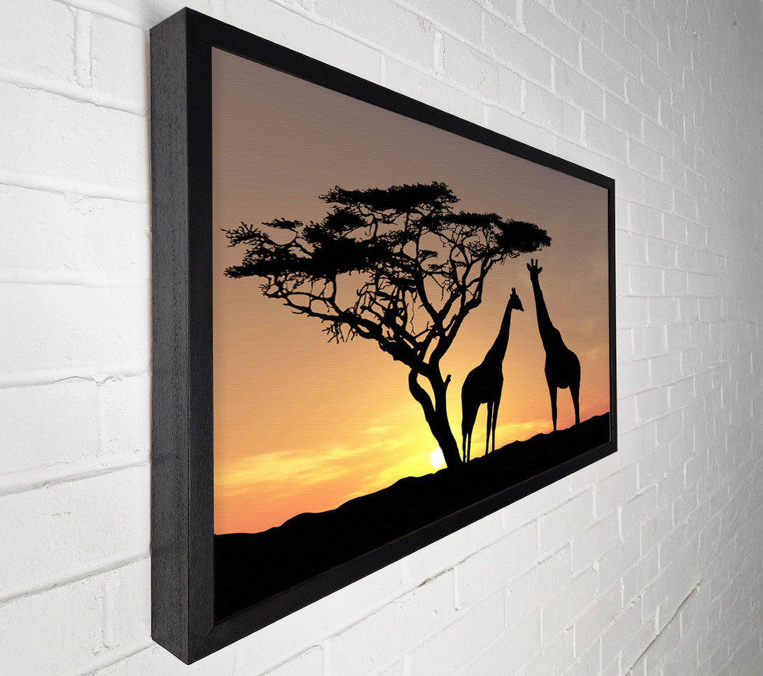 A Canvas Print of Giraffes At Sunset Canvas Wall Art