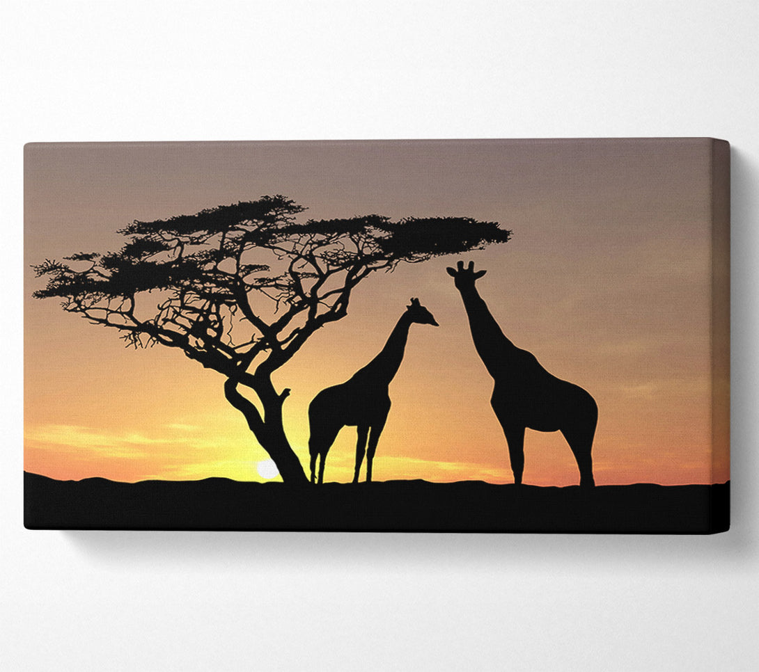  A Canvas Print of Giraffes At Sunset Canvas Wall Art