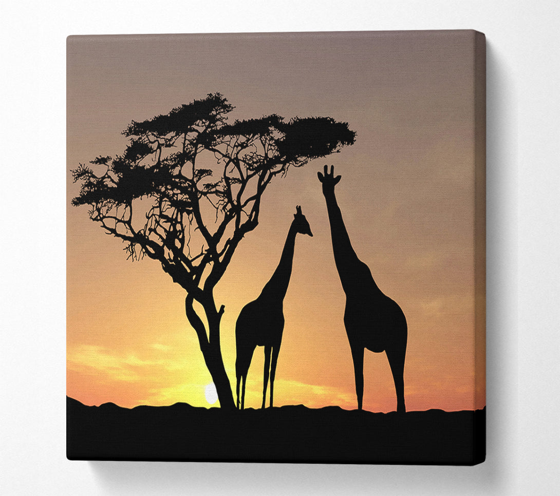  A Canvas Print of Giraffes At Sunset Canvas Wall Art
