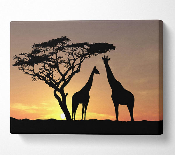  A Canvas Print of Giraffes At Sunset Canvas Wall Art