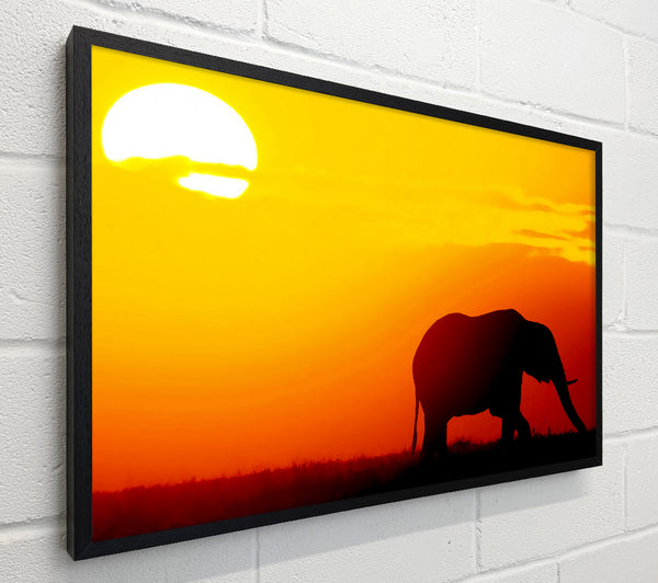 Golden Elephant
