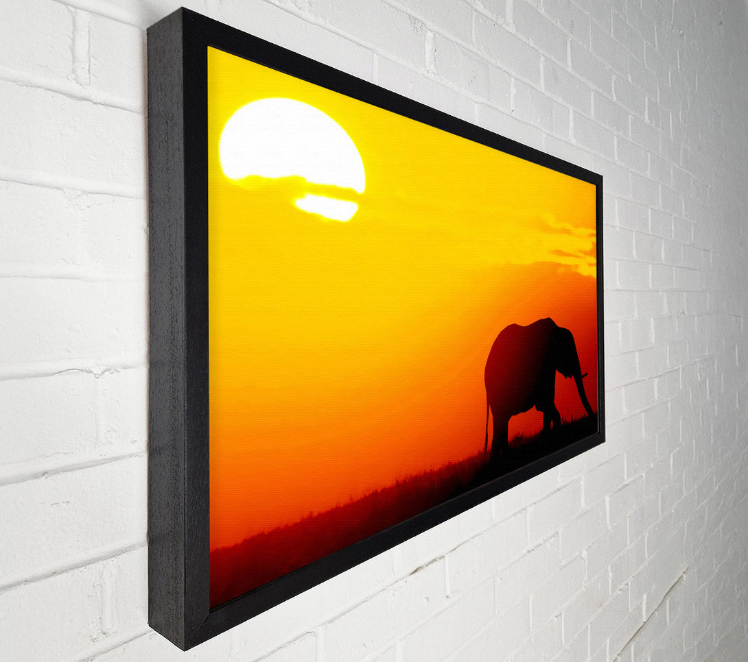 A Canvas Print of Golden Elephant Canvas Art