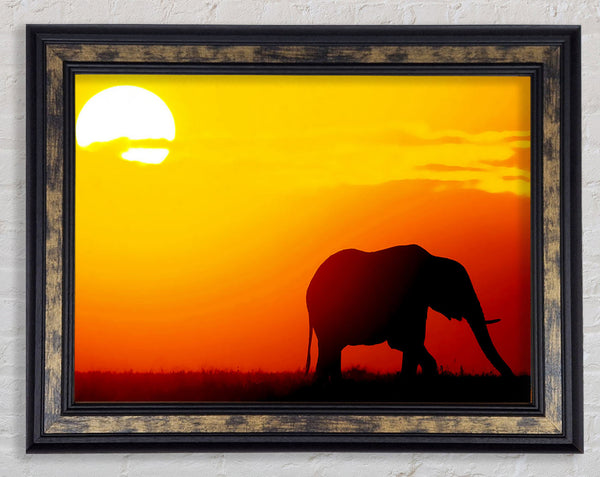 Golden Elephant Framed Print