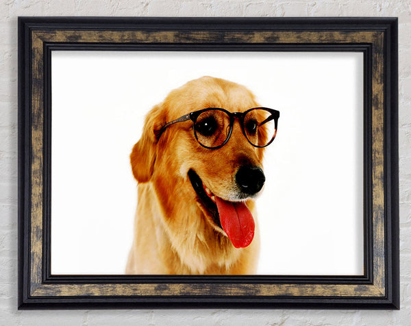Golden Retriever Nerd Framed Print