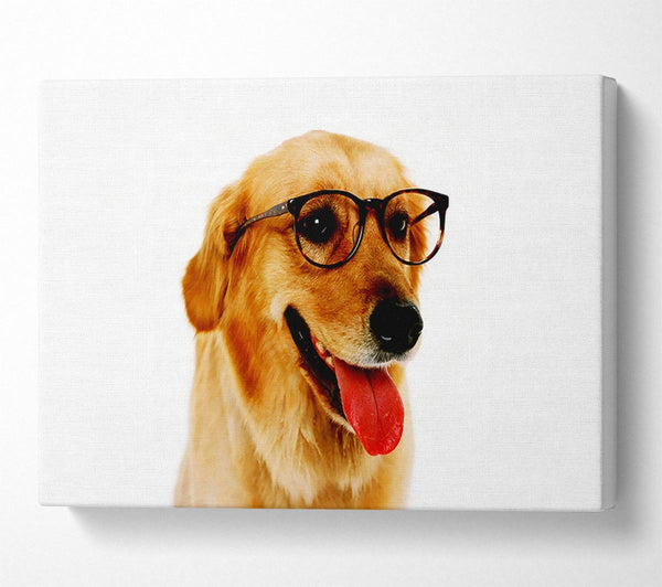  A Canvas Print of Golden Retriever Nerd Canvas Wall Art