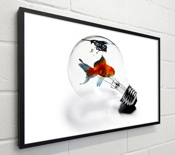 Goldfish Light Bulb