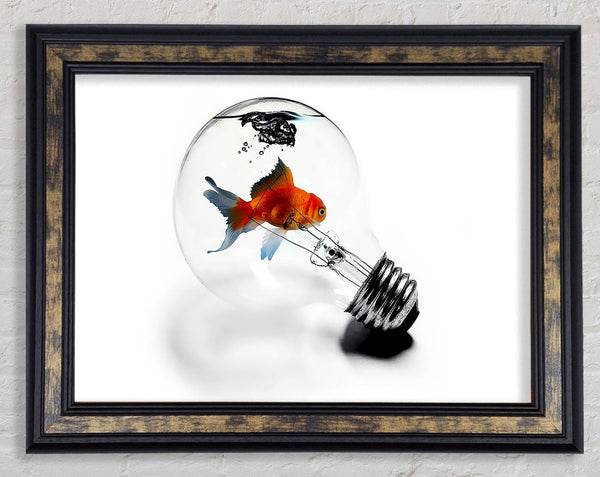Goldfish Light Bulb