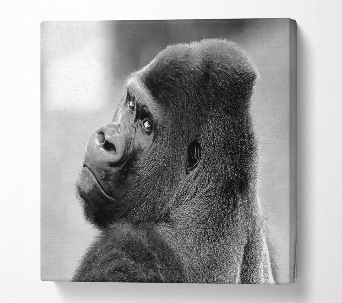  A Canvas Print of Gorilla Face Canvas Art