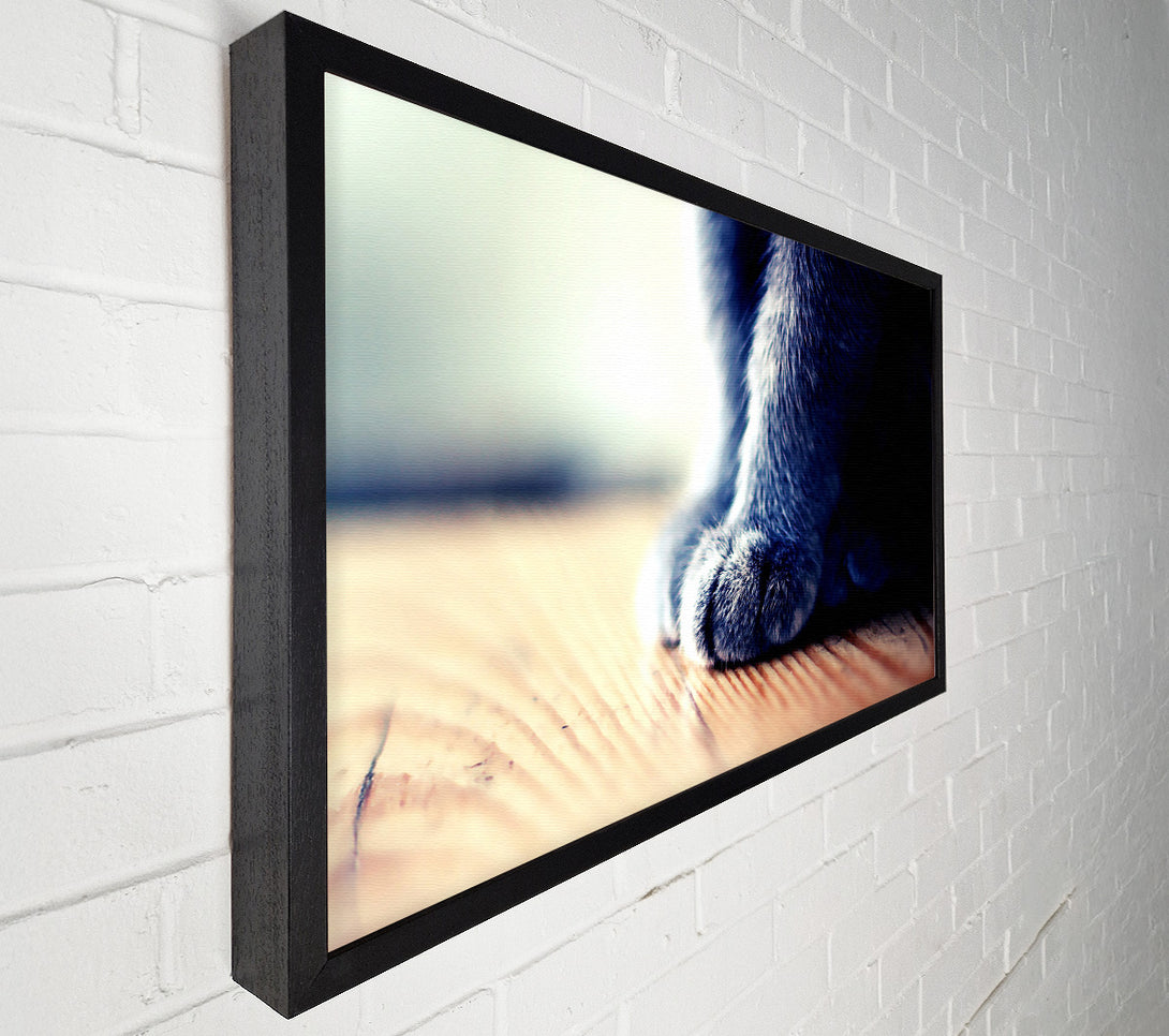  A Canvas Print of Grey Paws Canvas Wall Art