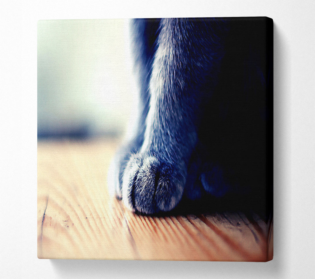  A Canvas Print of Grey Paws Canvas Wall Art
