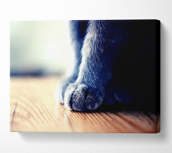  A Canvas Print of Grey Paws Canvas Wall Art