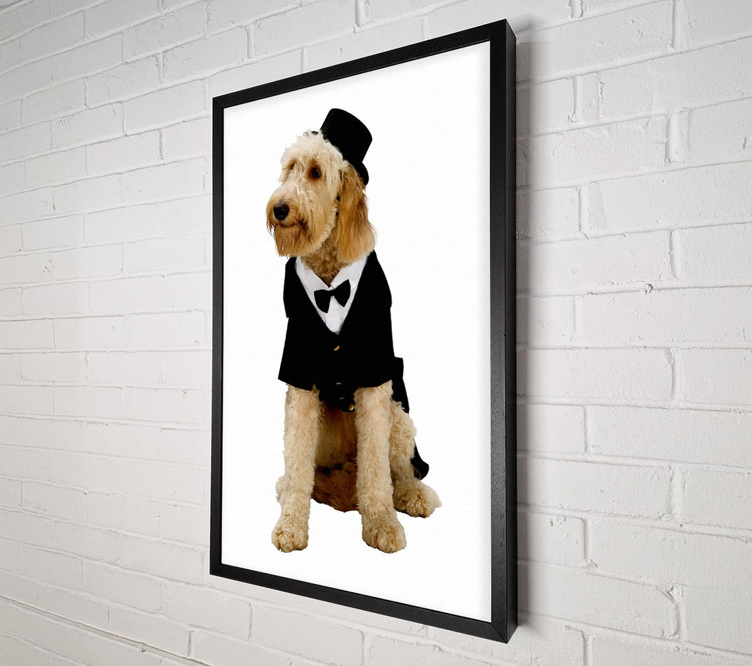  A Canvas Print of Groom Dog Canvas Print