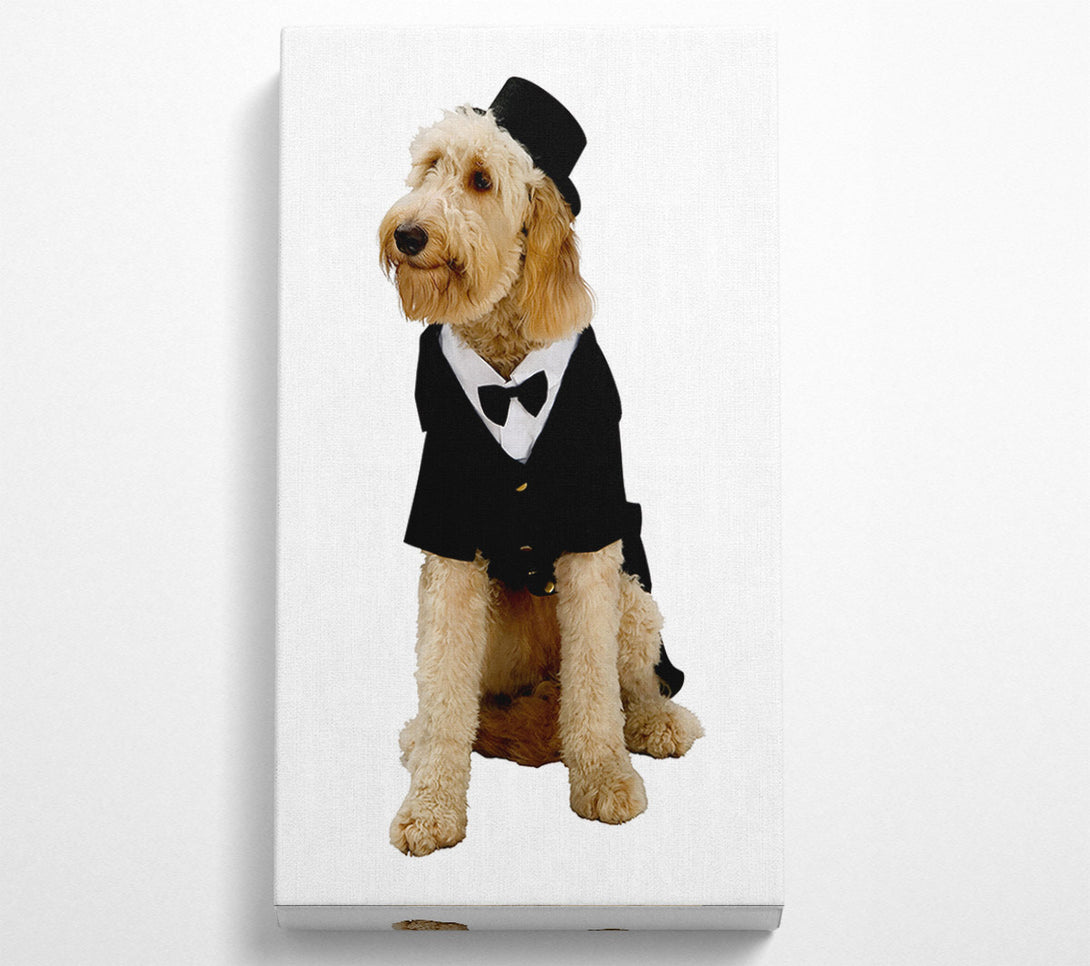  A Canvas Print of Groom Dog Canvas Print