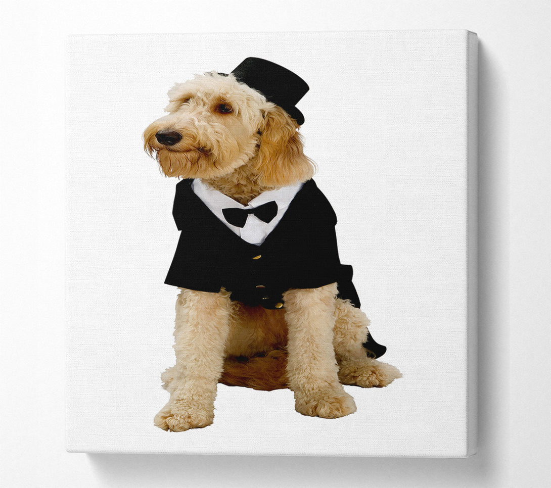  A Canvas Print of Groom Dog Canvas Print
