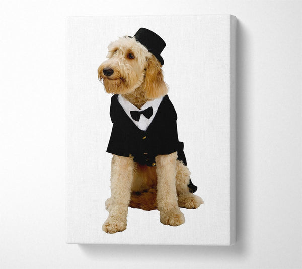  A Canvas Print of Groom Dog Canvas Print