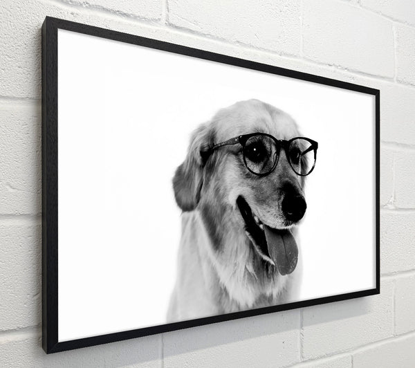Have You Seen My Glasses B n W
