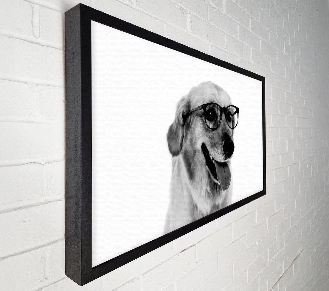  A Canvas Print of Have You Seen My Glasses B n W Canvas Wall Art