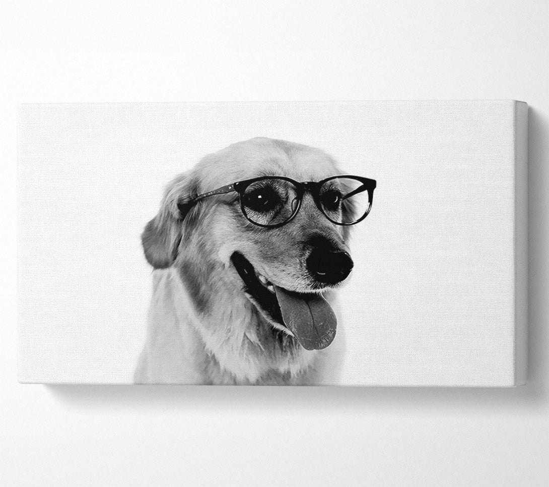  A Canvas Print of Have You Seen My Glasses B n W Canvas Wall Art