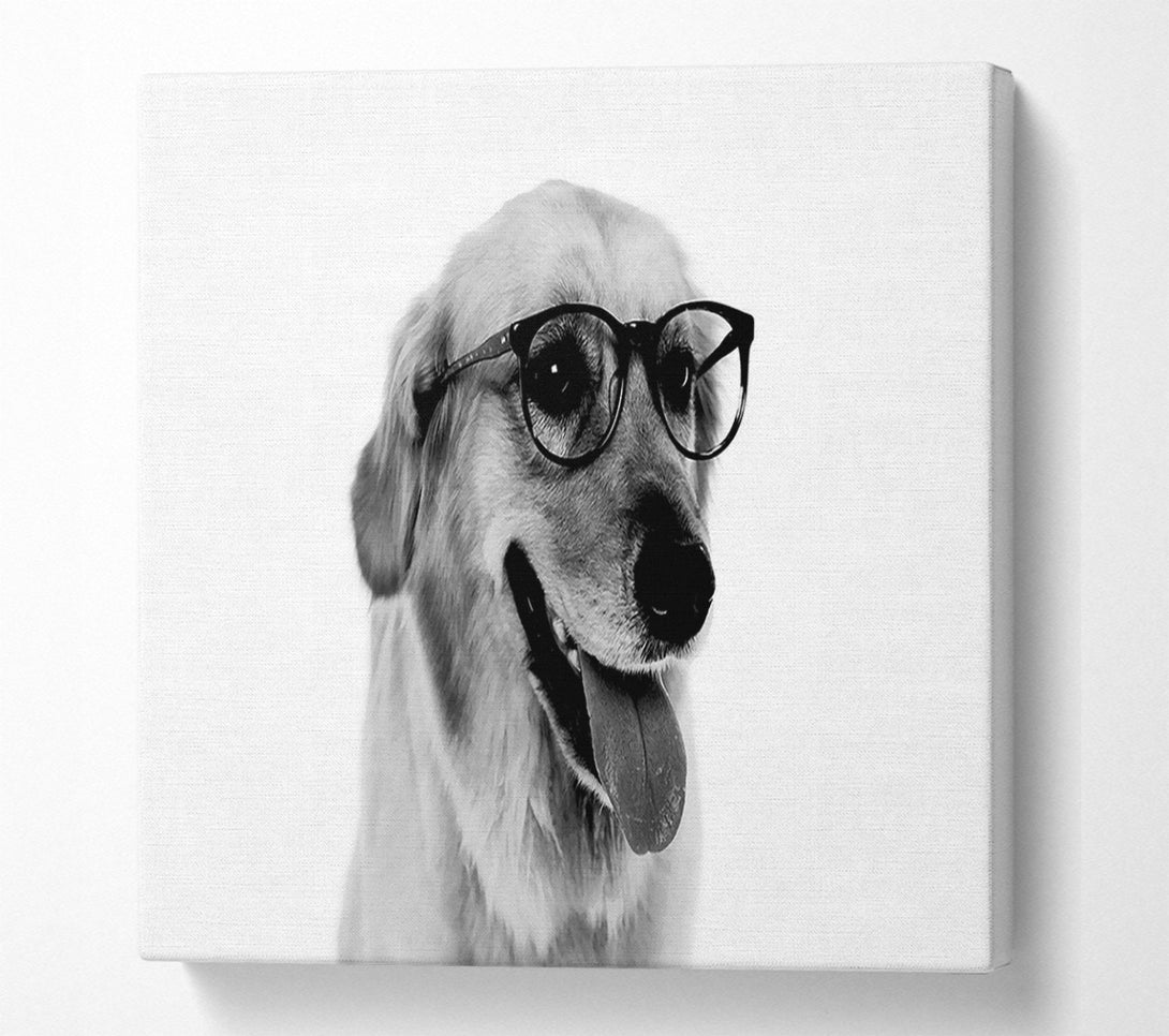  A Canvas Print of Have You Seen My Glasses B n W Canvas Wall Art