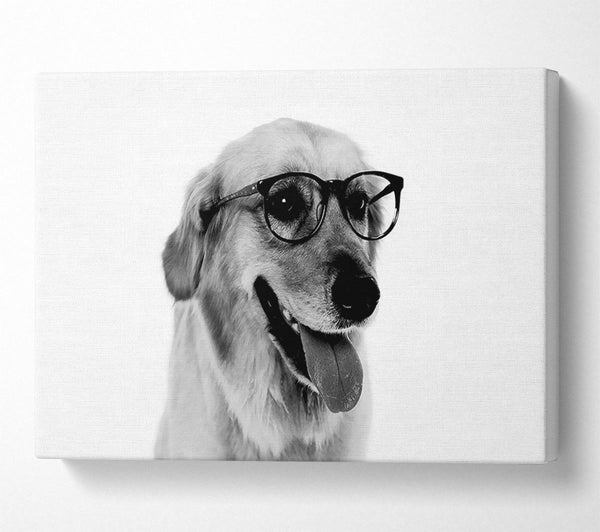  A Canvas Print of Have You Seen My Glasses B n W Canvas Wall Art