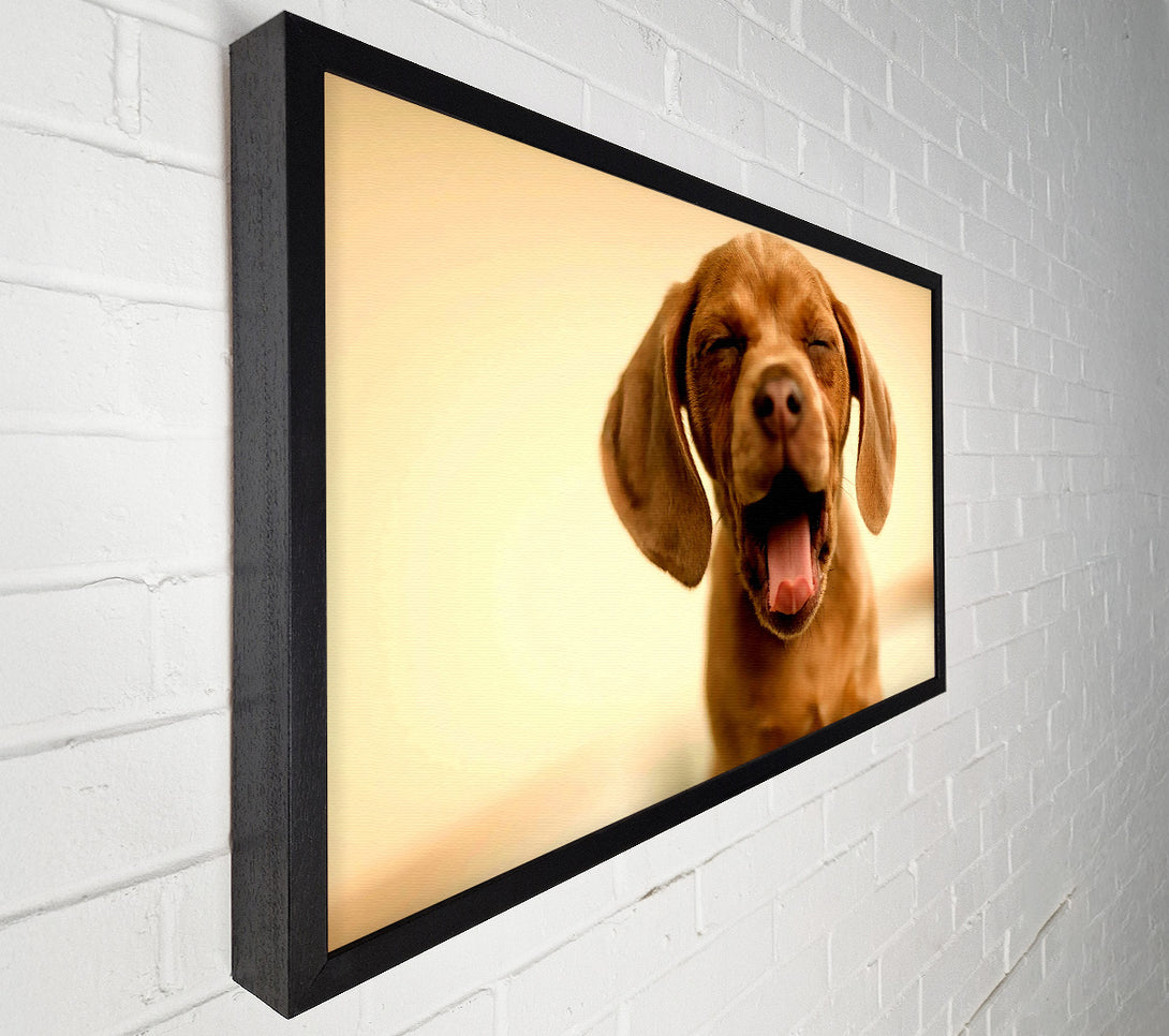  A Canvas Print of Funny Dog Canvas Wall Art